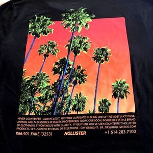 HOLLISTER Men's Graphic Shirt Palm Trees- Medium